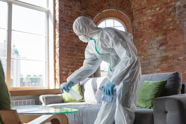 Mold Odor Removal Services